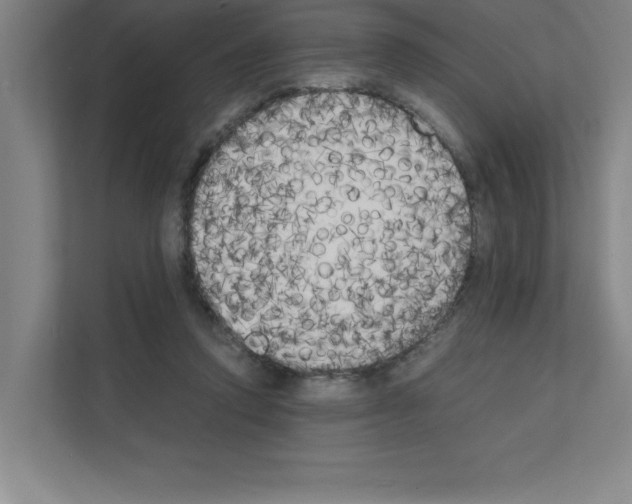 X0000111150354200908111138