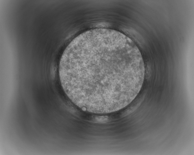 X0000111150355200908111138