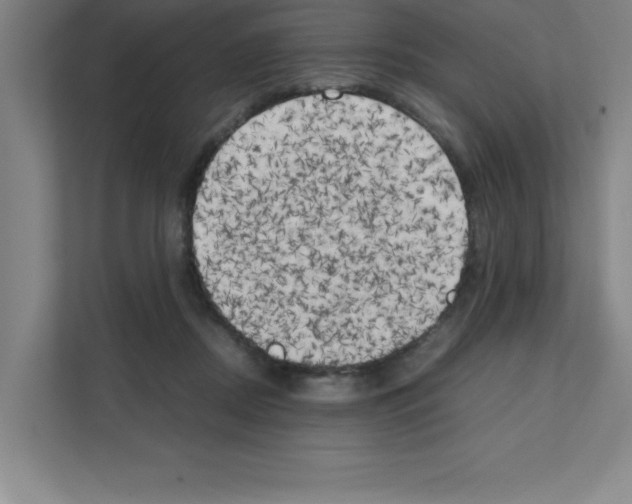 X0000111150362200908111138