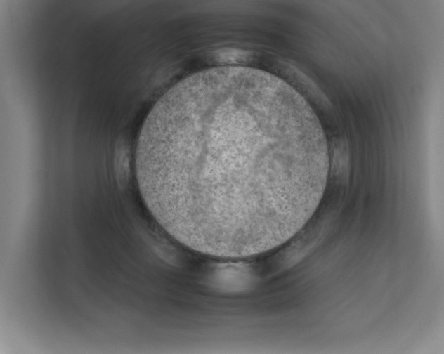 X0000111150363200908111138