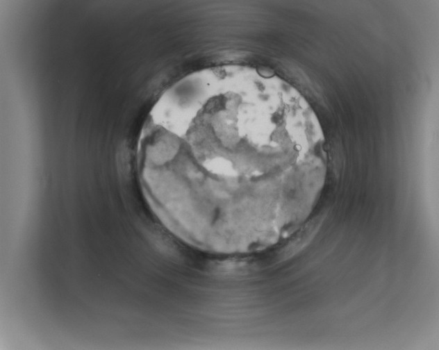 X0000111150366200908111138