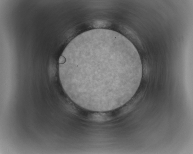 X0000111150367200908111138