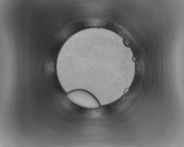 X0000111150368200908111138