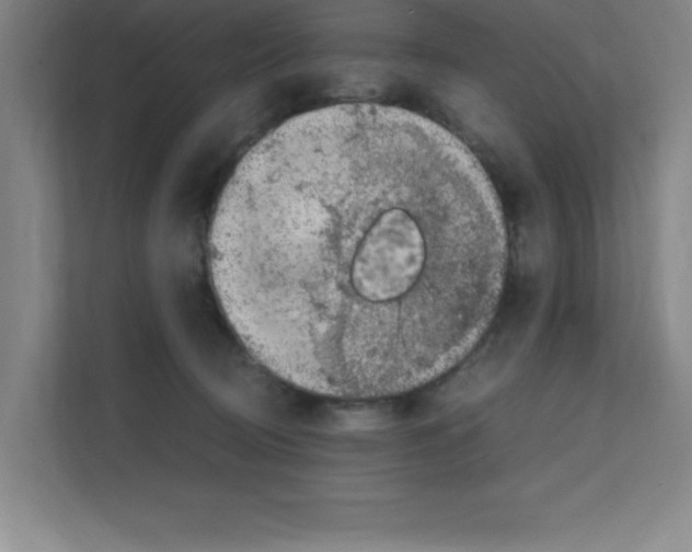 X0000111150370200908111138