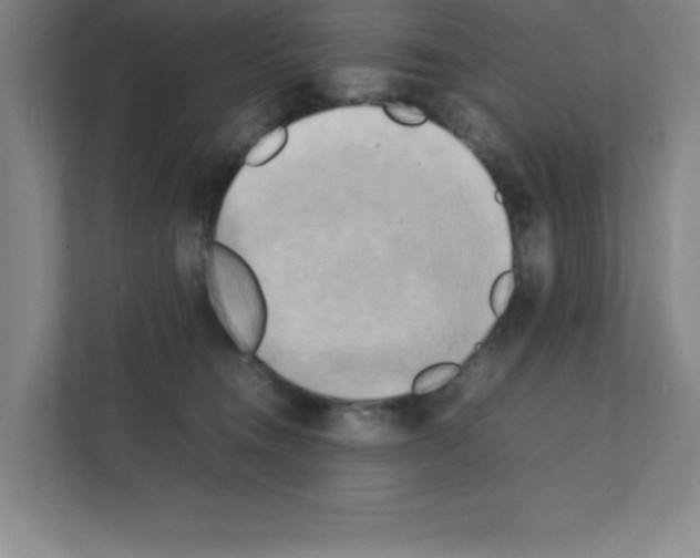 X0000111150372200908111139