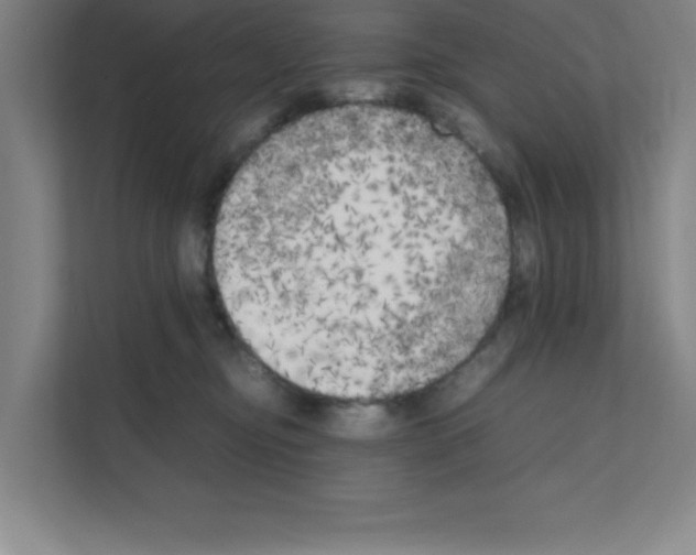 X0000111150374200908111139