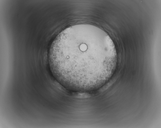 X0000111150376200908111139