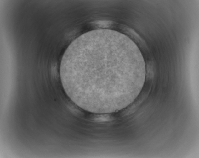 X0000111150377200908111139