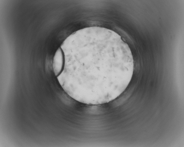 X0000111150382200908111139