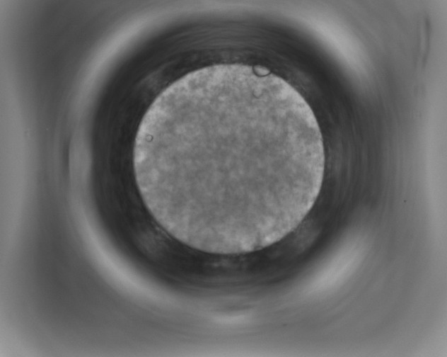 X0000111150383200908111139