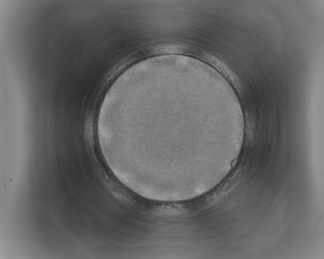 X0000111150386200908111138