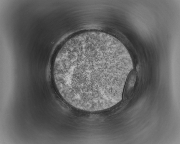 X0000111150388200908111138