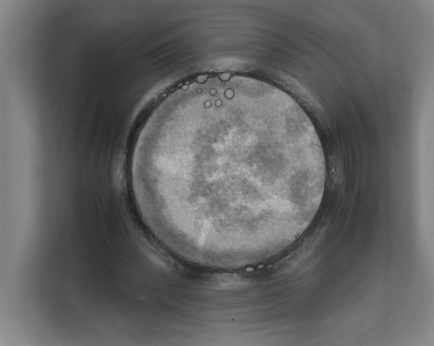 X0000111150392200908111138