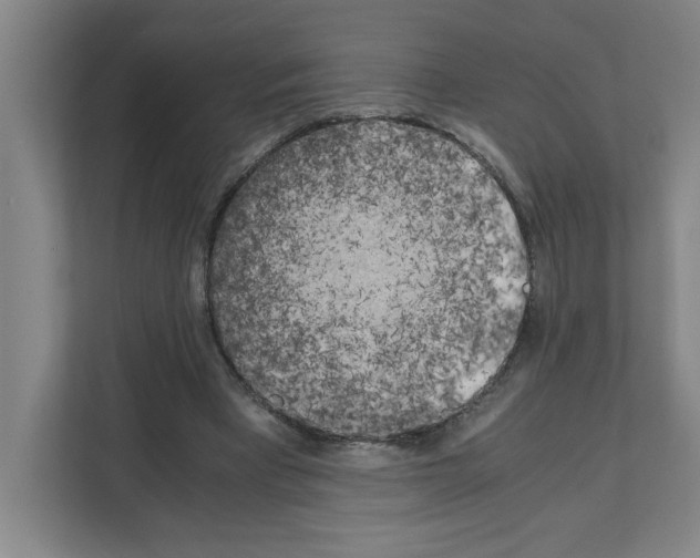 X0000111150393200908111138