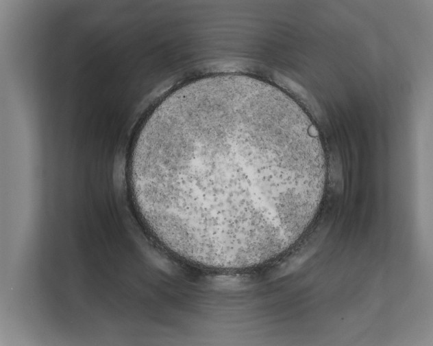 X0000111150394200908111138