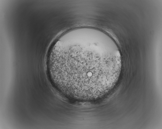 X0000111150395200908111138