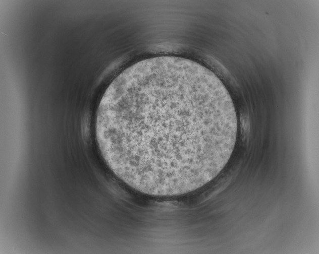 X0000111150396200908111138