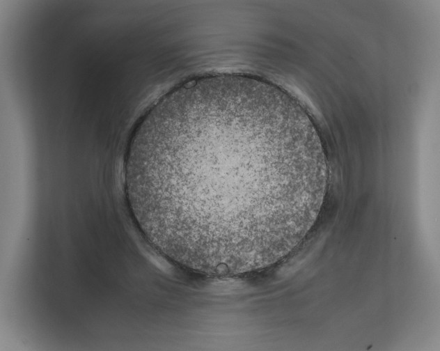 X0000111150397200908111138