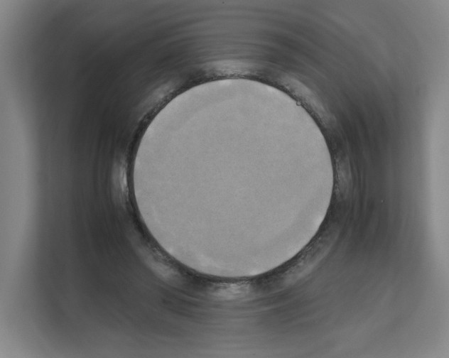 X0000111150398200908111138