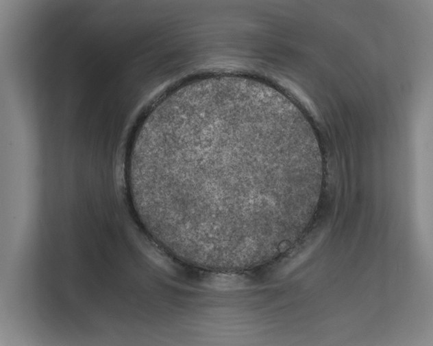 X0000111150399200908111138