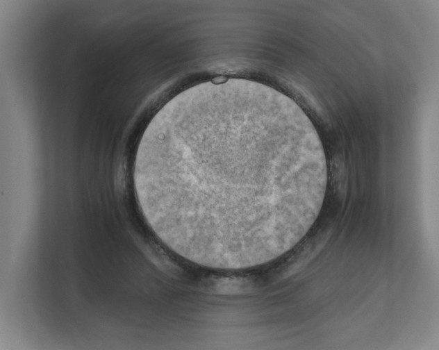 X0000111150400200908111138