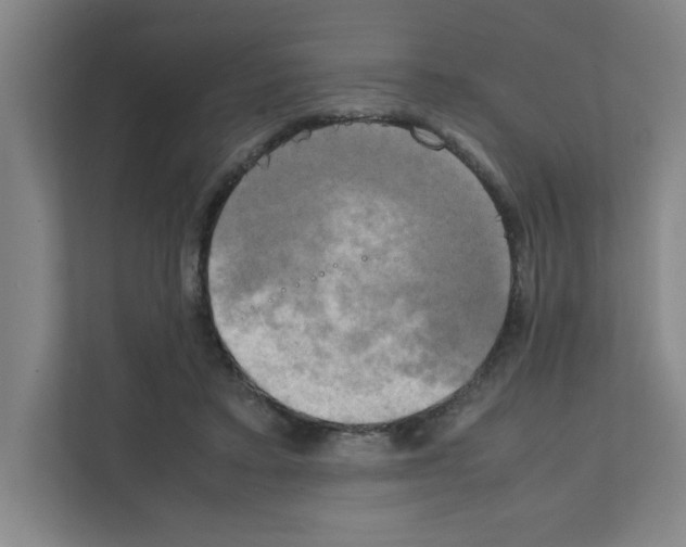 X0000111150403200908111138