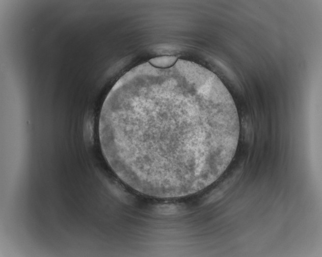 X0000111150404200908111138