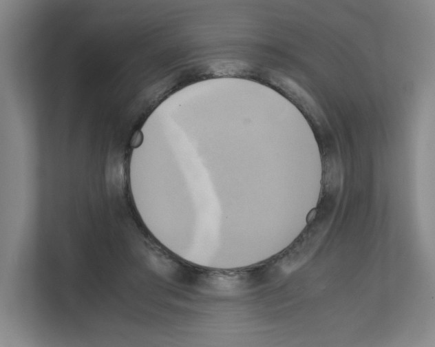 X0000111150405200908111138