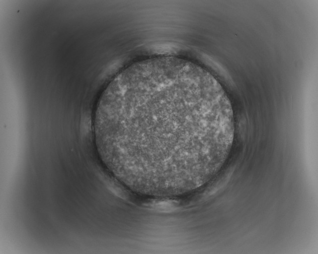 X0000111150407200908111138