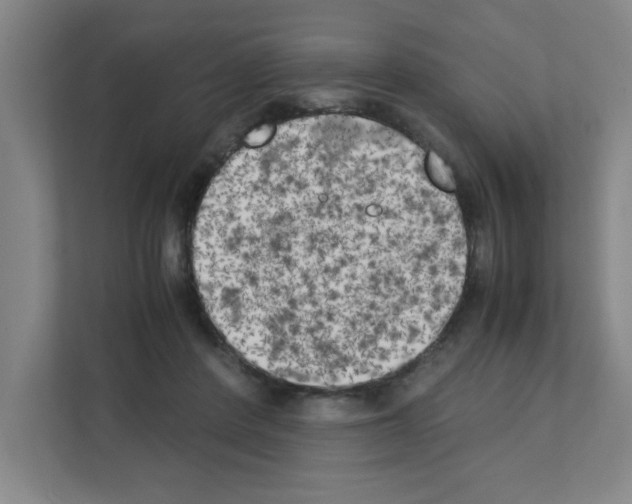 X0000111150408200908111138