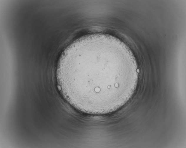 X0000111150409200908111138