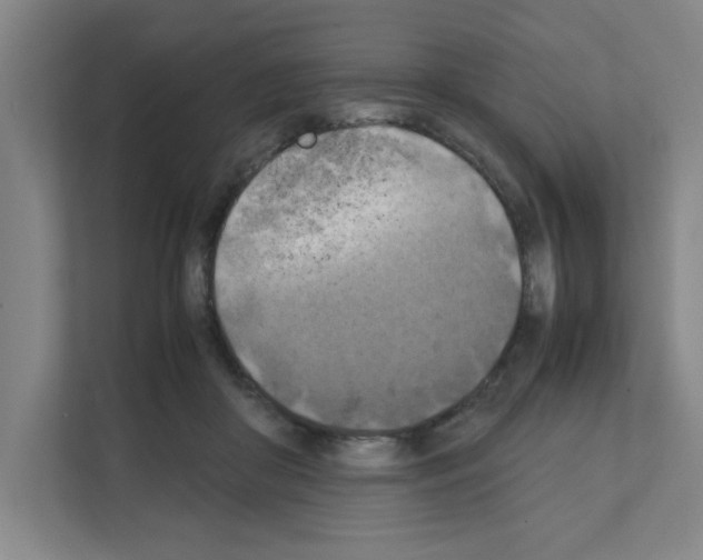 X0000111150410200908111138