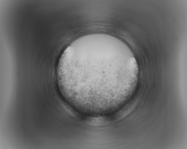 X0000111150411200908111138