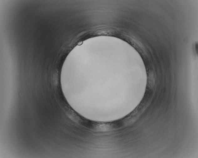 X0000111150413200908111138