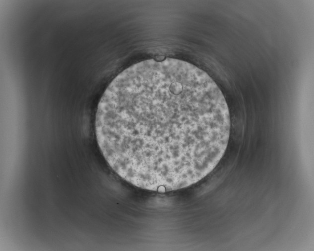 X0000111150416200908111138