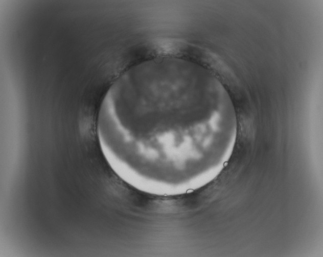 X0000111150419200908111138