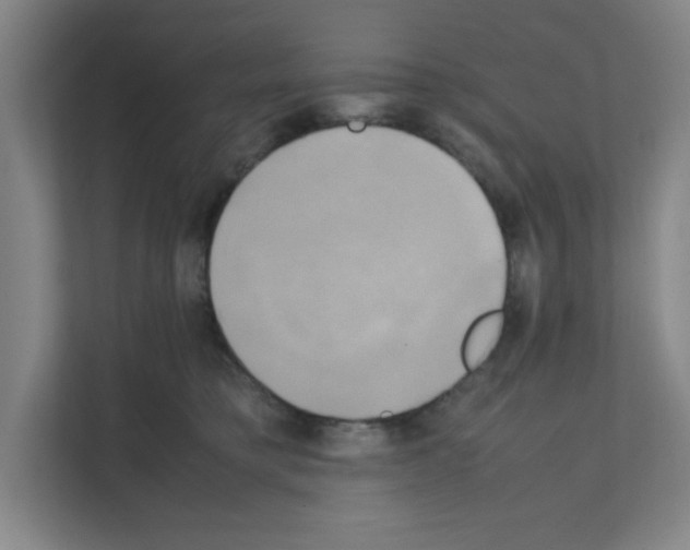 X0000111150421200908111138