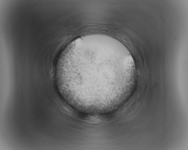 X0000111150423200908111138