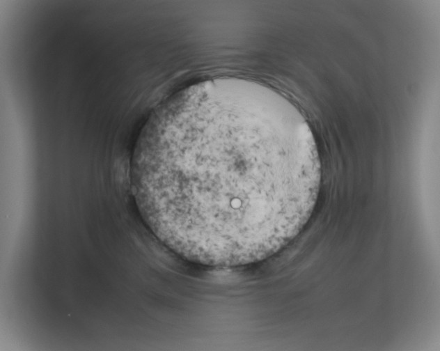 X0000111150425200908111138