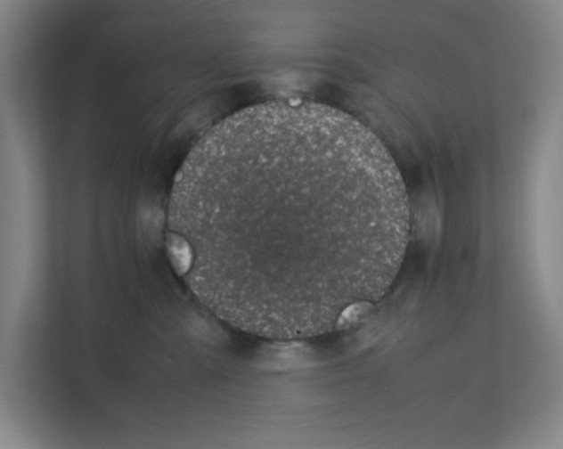 X0000111150427200908111137