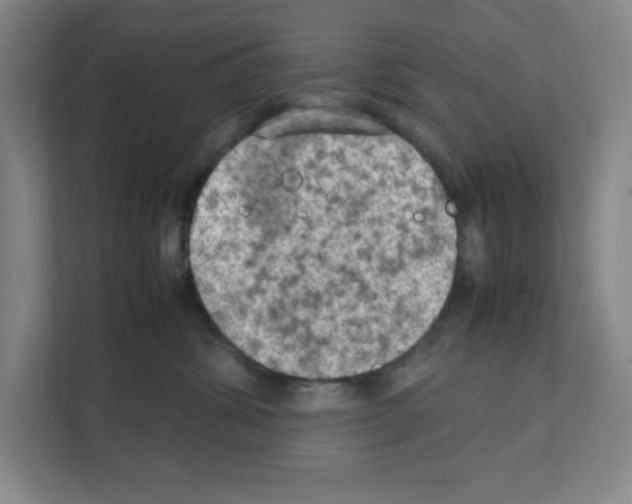 X0000111150428200908111137