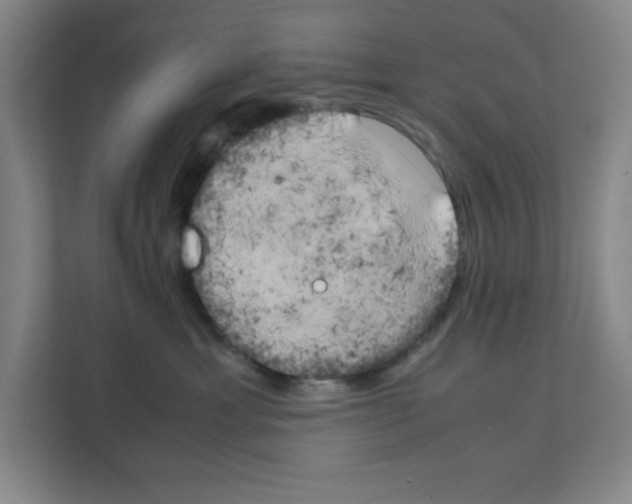 X0000111150429200908111137