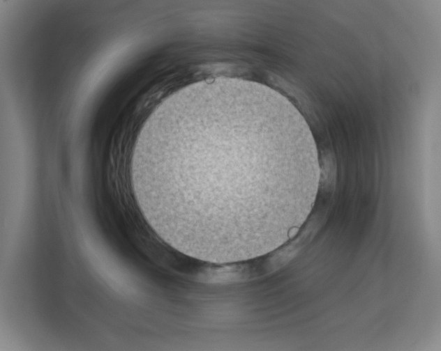 X0000111150430200908111137