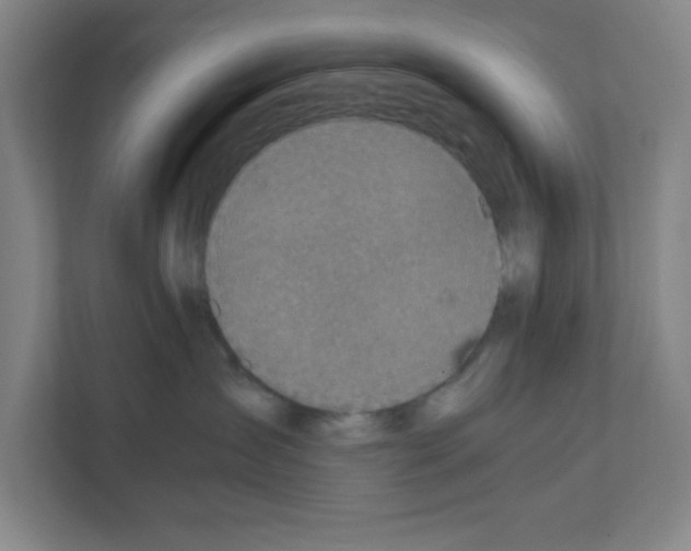 X0000111150431200908111137