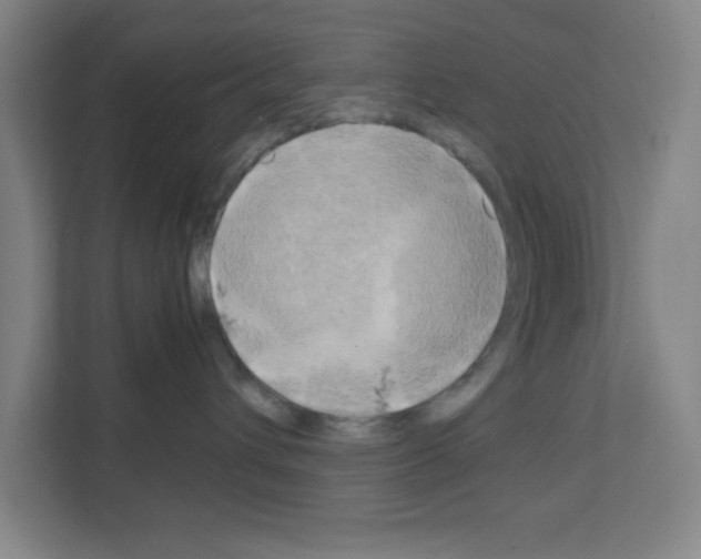 X0000111150432200908111137