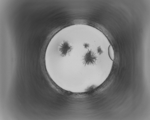 X0000111150433200908111137