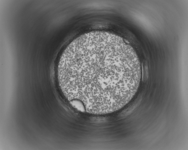 X0000111150435200908111137