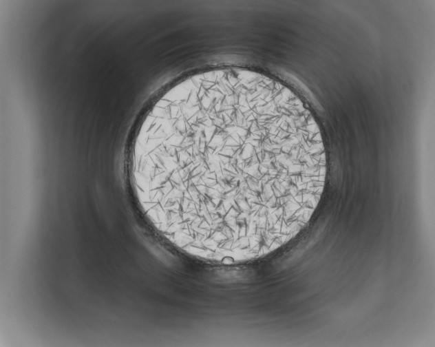 X0000111150439200908111137