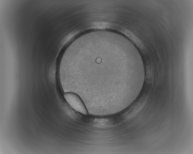 X0000111150440200908111137