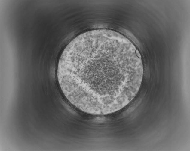 X0000111150441200908111137